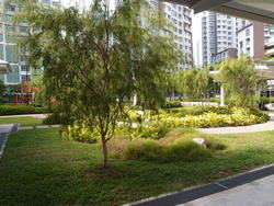 Blk 453B Fernvale Road (Sengkang), HDB 4 Rooms #187456242